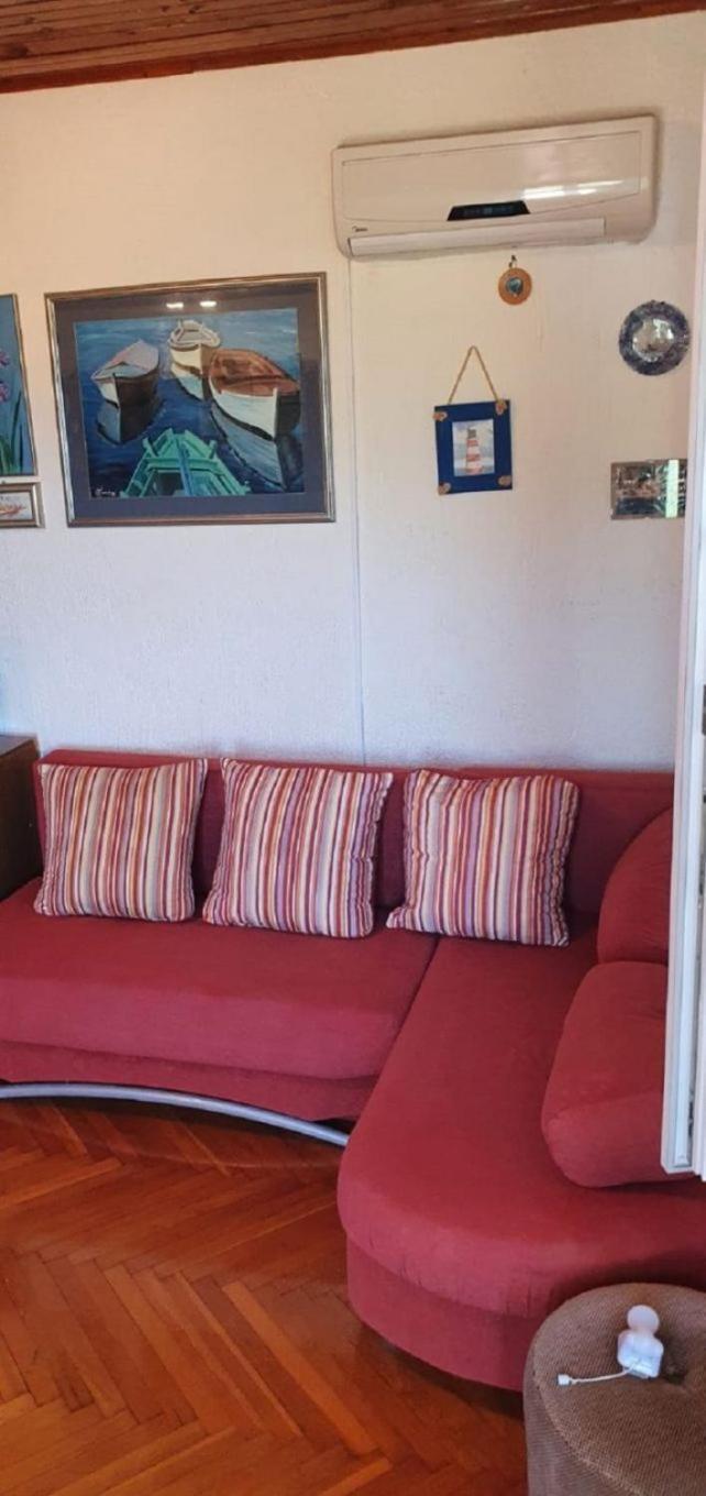 Apartment Ivan Ribarica Bagian luar foto